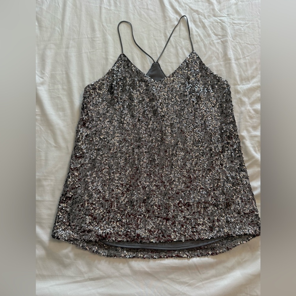 EXPRESS Sequin Silver Cami Top